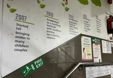 mural of IPF timeline painted on a wall in a clinic